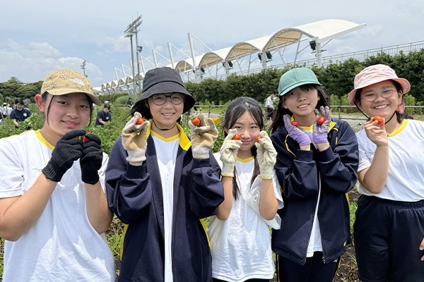 日大藤沢の農場実習の様子