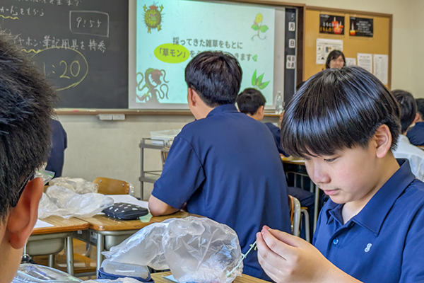 教室での講義の様子。採集した草を眺める生徒