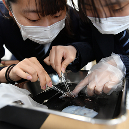 東邦大学付属東邦中学校・高等学校
