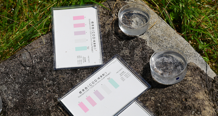 水質検査キットで水の成分を調べました